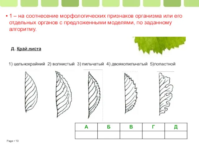 1 – на соотнесение морфологических признаков организма или его отдельных