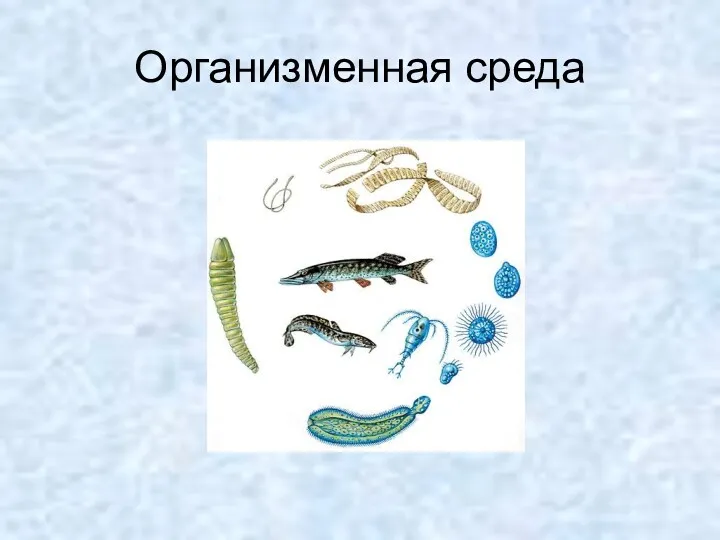 Организменная среда