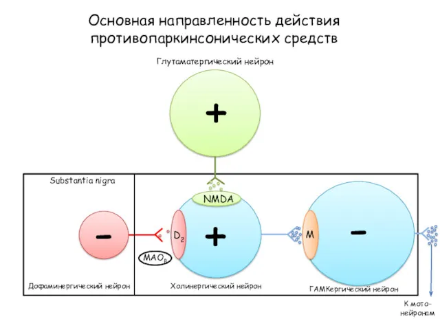 Основная направленность действия противопаркинсонических средств D2 NMDA M Глутаматергический нейрон Substantia nigra Дофаминергический