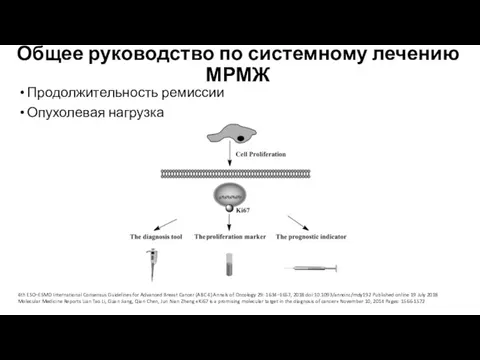 Общее руководство по системному лечению МРМЖ Продолжительность ремиссии Опухолевая нагрузка