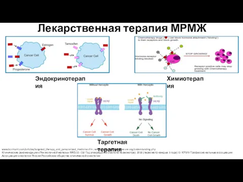 Лекарственная терапия МРМЖ www.bccmiami.com/articles/targeted_therapy_and_personalized_medicine.cfm ; www.triplesteptowardthecure.org/understanding.php Клинические рекомендации «Рак молочной