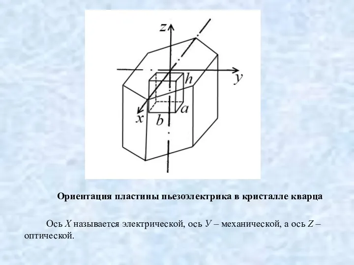 Ориентация пластины пьезоэлектрика в кристалле кварца Ось X называется электрической,