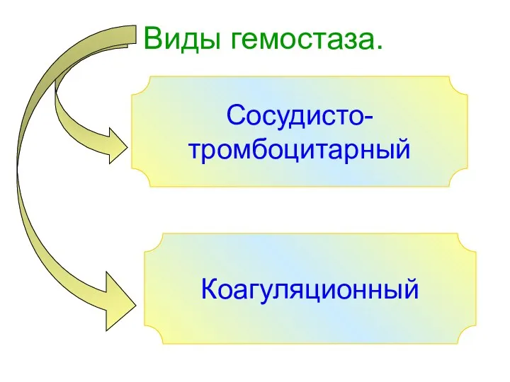 Виды гемостаза. Сосудисто- тромбоцитарный Коагуляционный