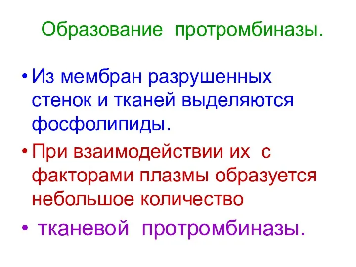 Образование протромбиназы. Из мембран разрушенных стенок и тканей выделяются фосфолипиды.