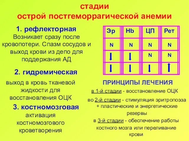 стадии острой постгеморрагической анемии 1. рефлекторная 2. гидремическая 3. костномозговая