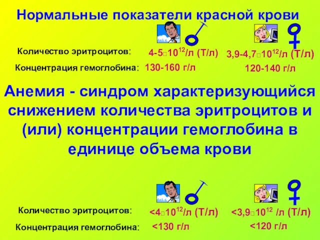 Анемия - синдром характеризующийся снижением количества эритроцитов и (или) концентрации