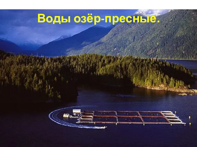 Воды озёр-пресные.