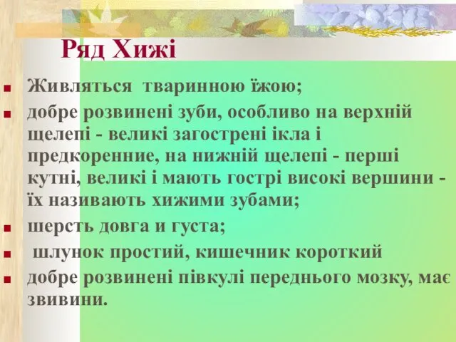 Ряд Хижі Живляться тваринною їжою; добре розвинені зуби, особливо на