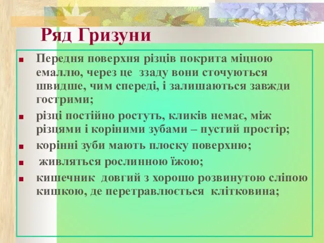 Ряд Гризуни Передня поверхня різців покрита міцною емаллю, через це