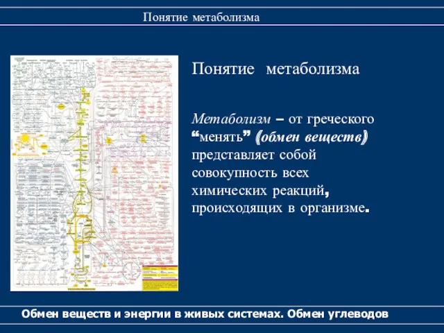 Обмен веществ и энергии в живых системах. Обмен углеводов Понятие