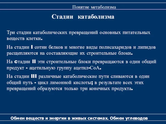 Стадии катаболизма Обмен веществ и энергии в живых системах. Обмен