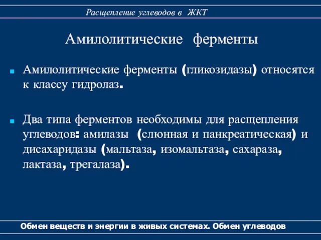 Амилолитические ферменты (гликозидазы) относятся к классу гидролаз. Два типа ферментов