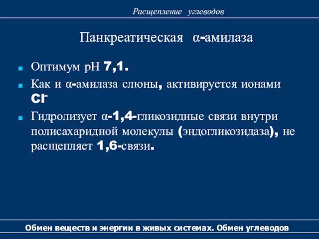 Панкреатическая α-амилаза Обмен веществ и энергии в живых системах. Обмен