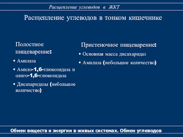 Расщепление углеводов в тонком кишечнике Полостное пищеварение: Амилаза Амило-1,6-глюкозидаза и