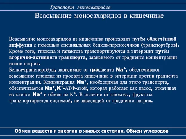 Всасывание моносахаридов в кишечнике Обмен веществ и энергии в живых