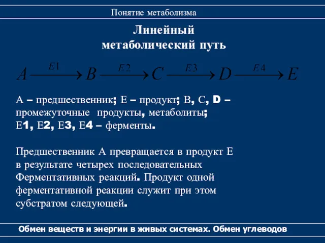 Линейный метаболический путь Обмен веществ и энергии в живых системах.