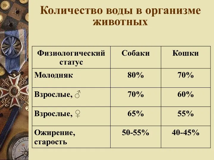 Количество воды в организме животных