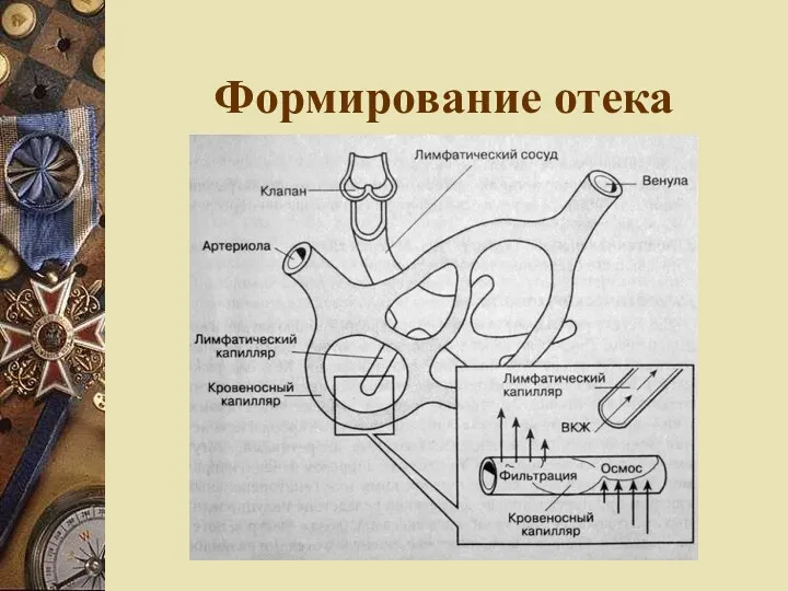 Формирование отека