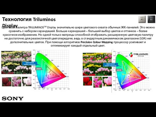 Цветовая палитра TRILUMINOSTM Display значительно шире цветового охвата обычных ЖК-панелей.