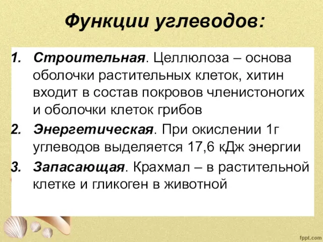 Функции углеводов: Строительная. Целлюлоза – основа оболочки растительных клеток, хитин