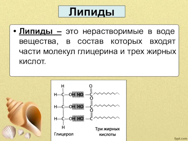 Липиды Липиды – это нерастворимые в воде вещества, в состав