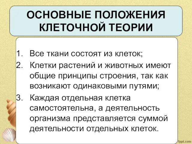 ОСНОВНЫЕ ПОЛОЖЕНИЯ КЛЕТОЧНОЙ ТЕОРИИ Все ткани состоят из клеток; Клетки