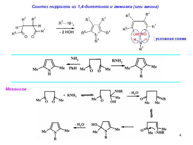 Cинтез пирролов из 1,4-дикетонов и аммиака (или амина) Механизм