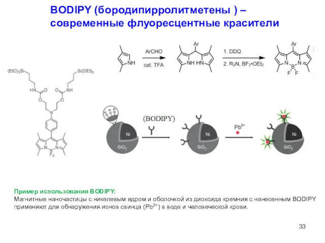 BODIPY (бородипирролитметены ) – современные флуоресцентные красители Пример использования BODIPY: