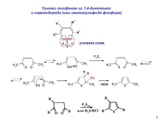 Cинтез тиофенов из 1,4-дикетонов и сероводорода (или пентасульфида фосфора)