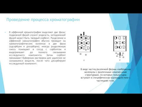 Проведение процесса хроматографии В аффинной хроматографии выделяют две фазы: подвижной