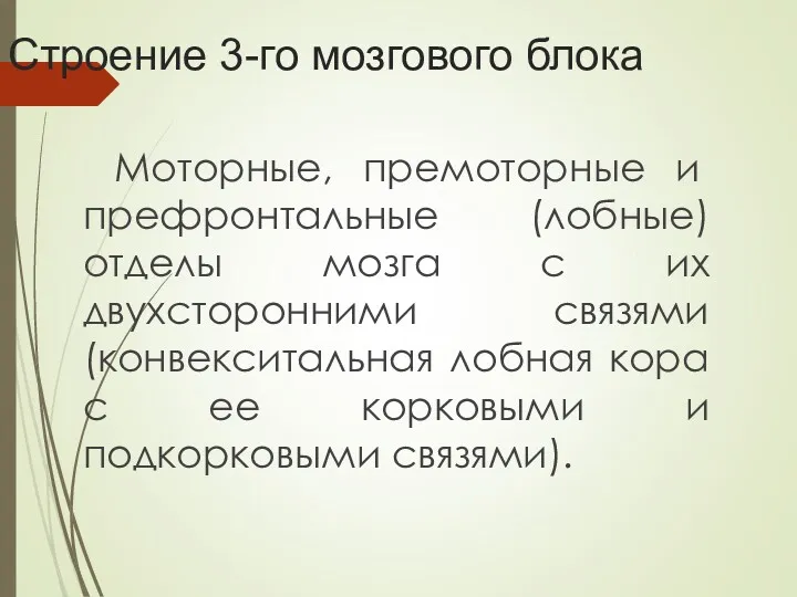 Строение 3-го мозгового блока Моторные, премоторные и префронтальные (лобные) отделы