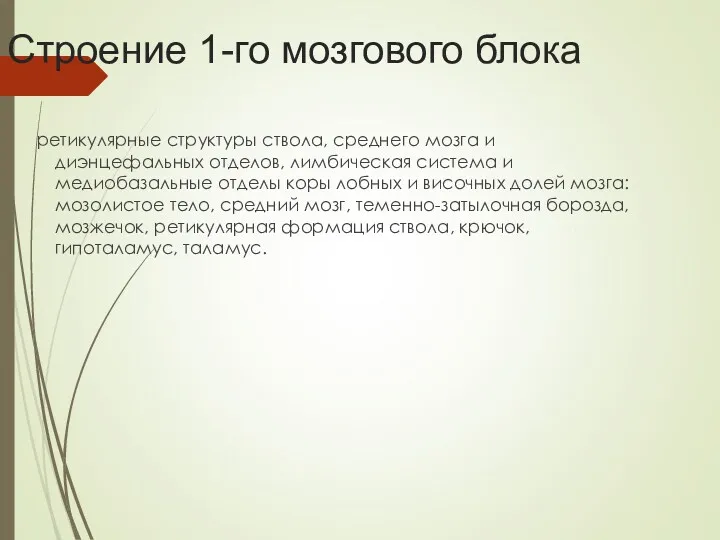 Строение 1-го мозгового блока ретикулярные структуры ствола, среднего мозга и