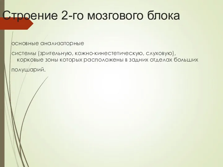 Строение 2-го мозгового блока основные анализаторные системы (зрительную, кожно-кинестетическую, слуховую),