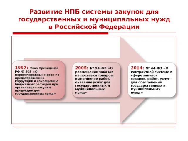 Развитие НПБ системы закупок для государственных и муниципальных нужд в Российской Федерации