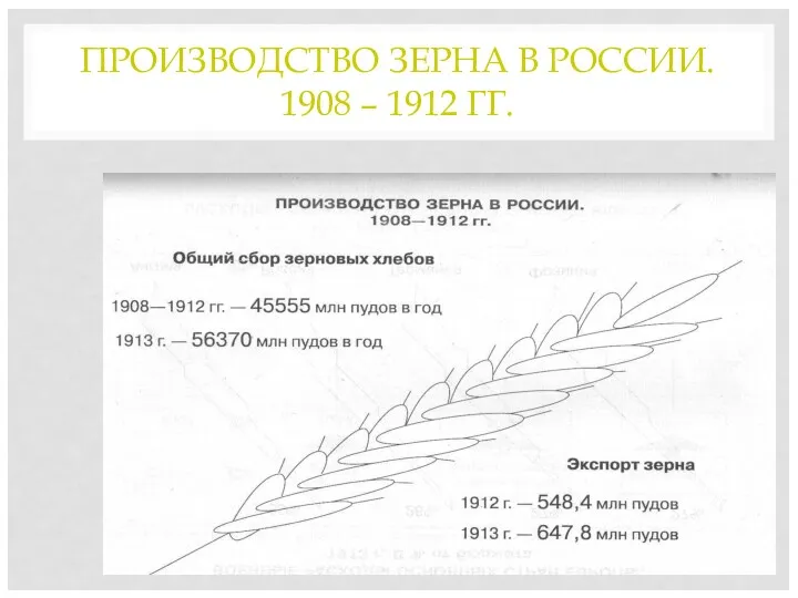 ПРОИЗВОДСТВО ЗЕРНА В РОССИИ. 1908 – 1912 ГГ.