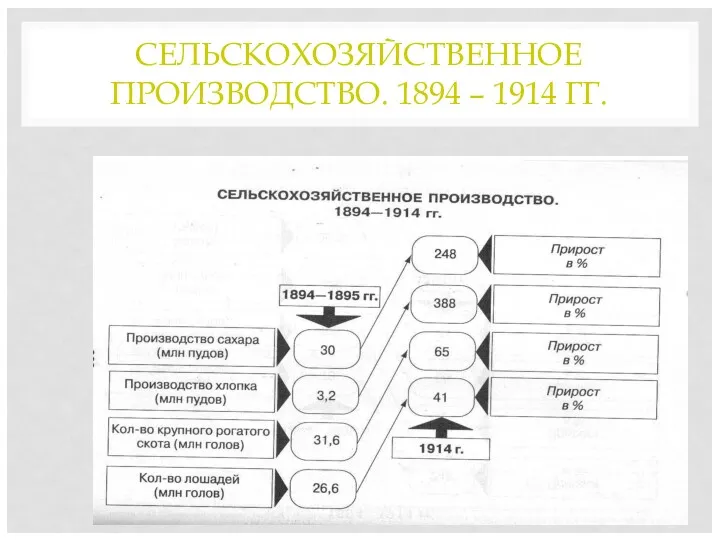 СЕЛЬСКОХОЗЯЙСТВЕННОЕ ПРОИЗВОДСТВО. 1894 – 1914 ГГ.