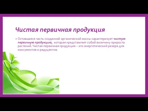 Чистая первичная продукция Оставшаяся часть созданной органической массы характеризует чистую