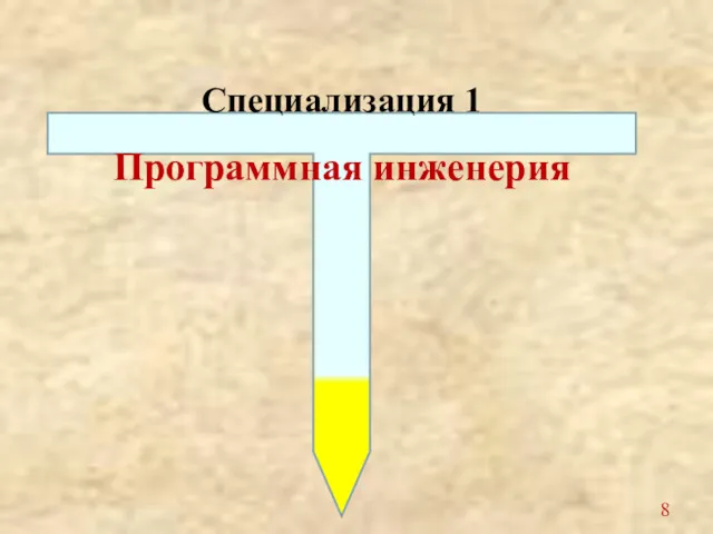 Специализация 1 Программная инженерия