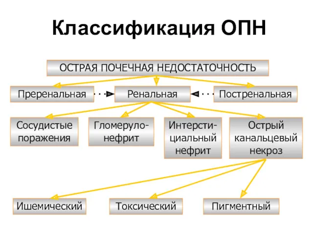 Классификация ОПН ОСТРАЯ ПОЧЕЧНАЯ НЕДОСТАТОЧНОСТЬ Преренальная Ренальная Постренальная Сосудистые поражения