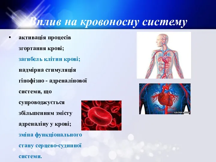 Вплив на кровоносну систему активація процесів згортання крові; загибель клітин