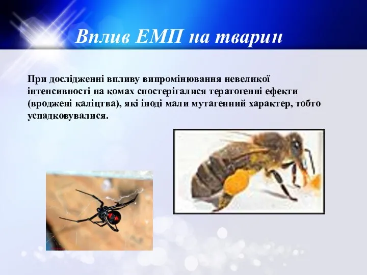 Вплив ЕМП на тварин При дослідженні впливу випромінювання невеликої інтенсивності