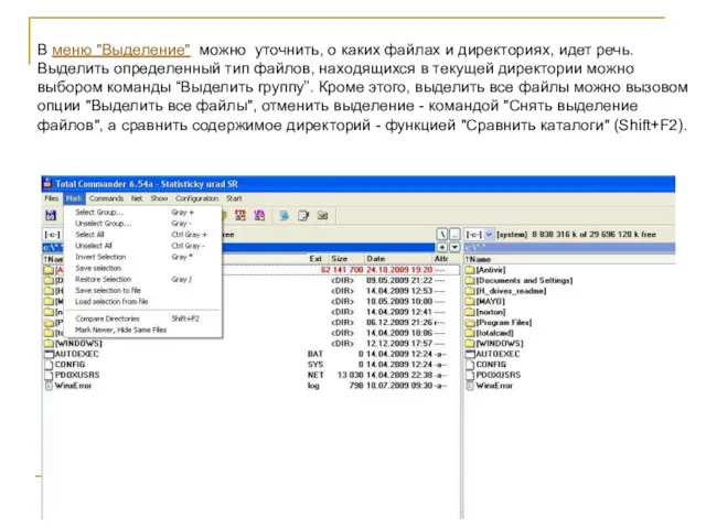 В меню "Выделение" можно уточнить, о каких файлах и директориях,