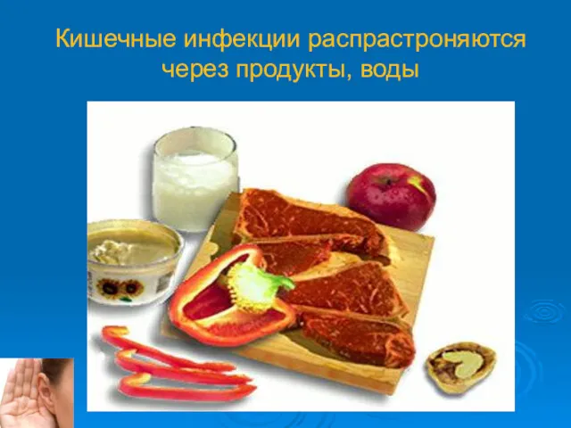 Кишечные инфекции распрастроняются через продукты, воды