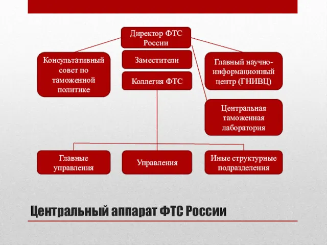 Центральный аппарат ФТС России Директор ФТС России Заместители Коллегия ФТС