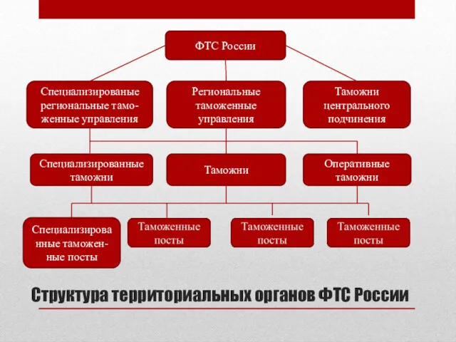 Структура территориальных органов ФТС России ФТС России Региональные таможенные управления