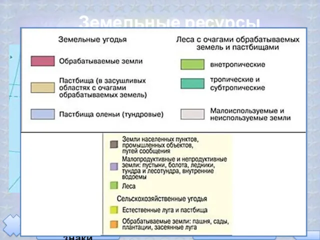 Земельные ресурсы Австралии Естественные пастбища занимают около 90 %. Культурные пастбища, пар и