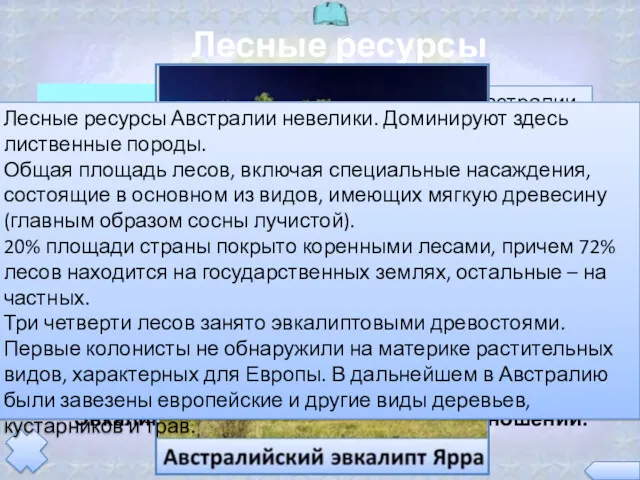 Лесные ресурсы Австралии Треть Австралии занимают пустыни. Леса занимают 5% площади страны: на