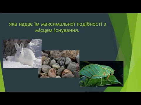 яка надає їм максимальної подібності з місцем існування.