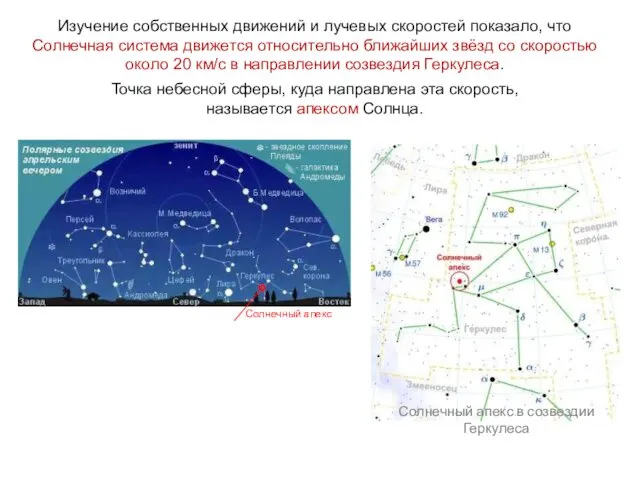 Изучение собственных движений и лучевых скоростей показало, что Солнечная система