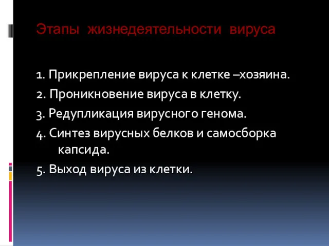 Этапы жизнедеятельности вируса 1. Прикрепление вируса к клетке –хозяина. 2.